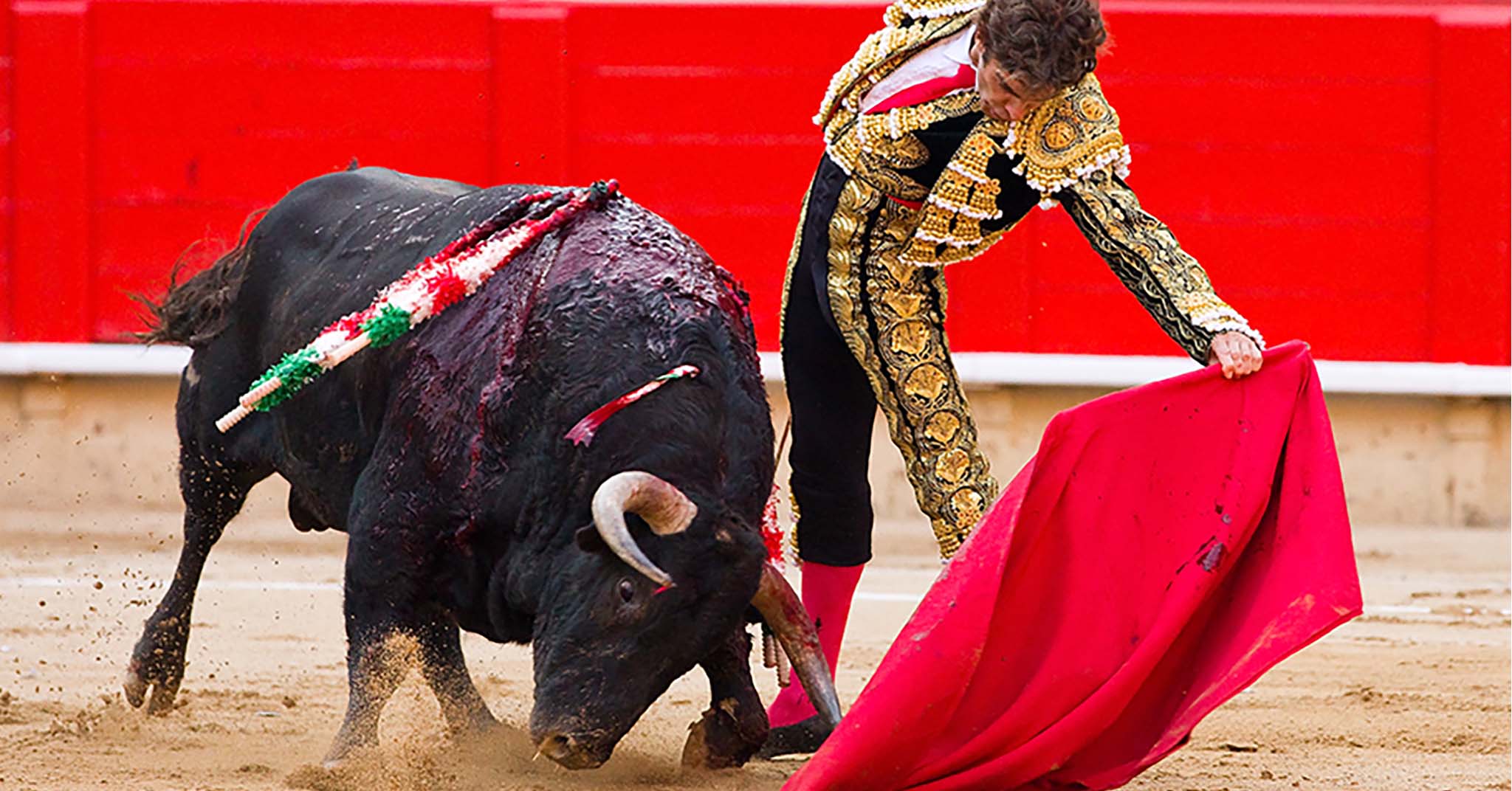 闘牛・人々を熱狂させるスペインの国技の魅力に迫る